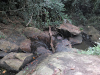 kakum national park ghana