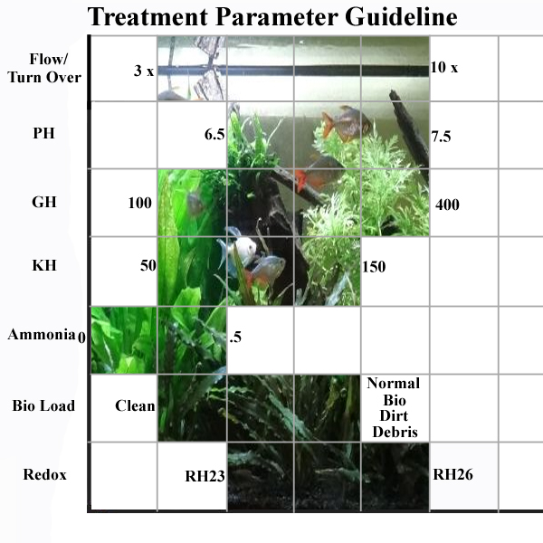 aquarium fish diseases and treatment pdf