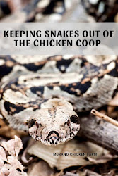 snakes chicken coop keep ways chickens muranochickenfarm coops keeping backyard snake proof raising traps eggs eating