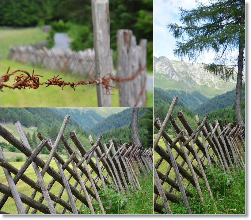 * SOMMERIMPRESSIONEN aus dem hinteren Passeiertal
