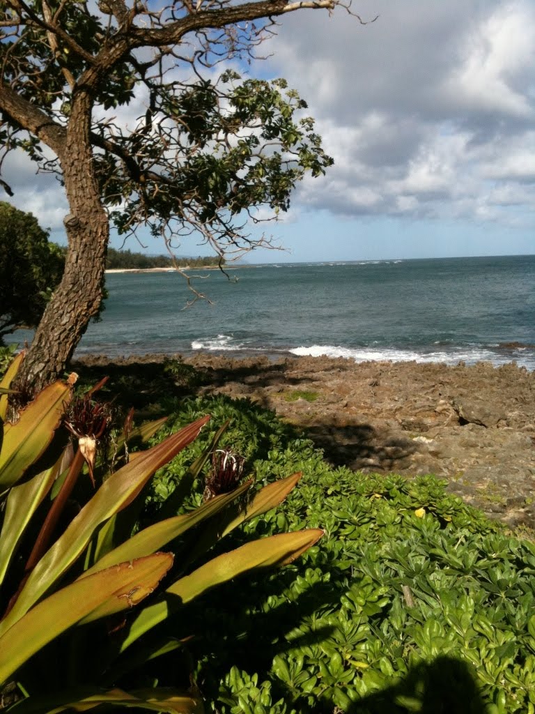 Essay about hawaii
