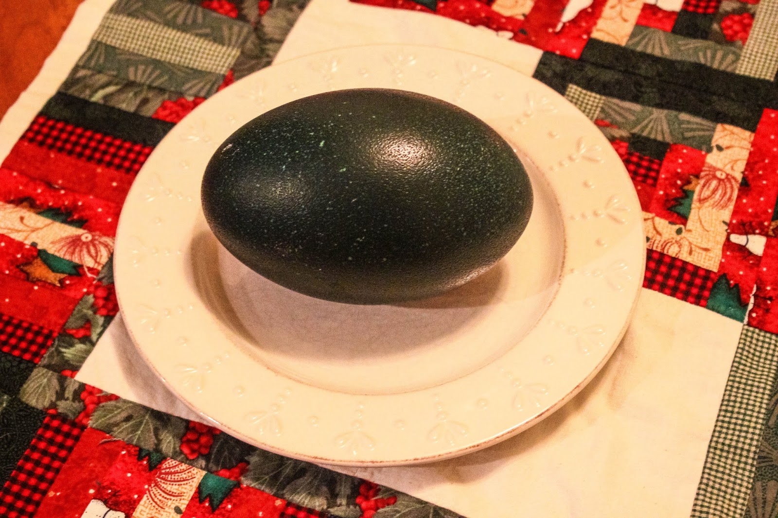 Cannundrums Emu Egg Scrambled