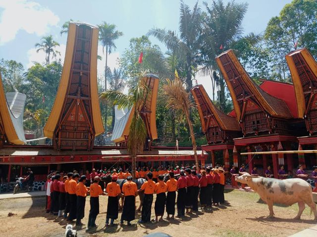 Upacara Adat Suku Toraja Rambu Solo Toraja, Apa Sih itu ? Upacara Adat Suku Toraja Rambu Solo Toraja, Apa Sih itu ?