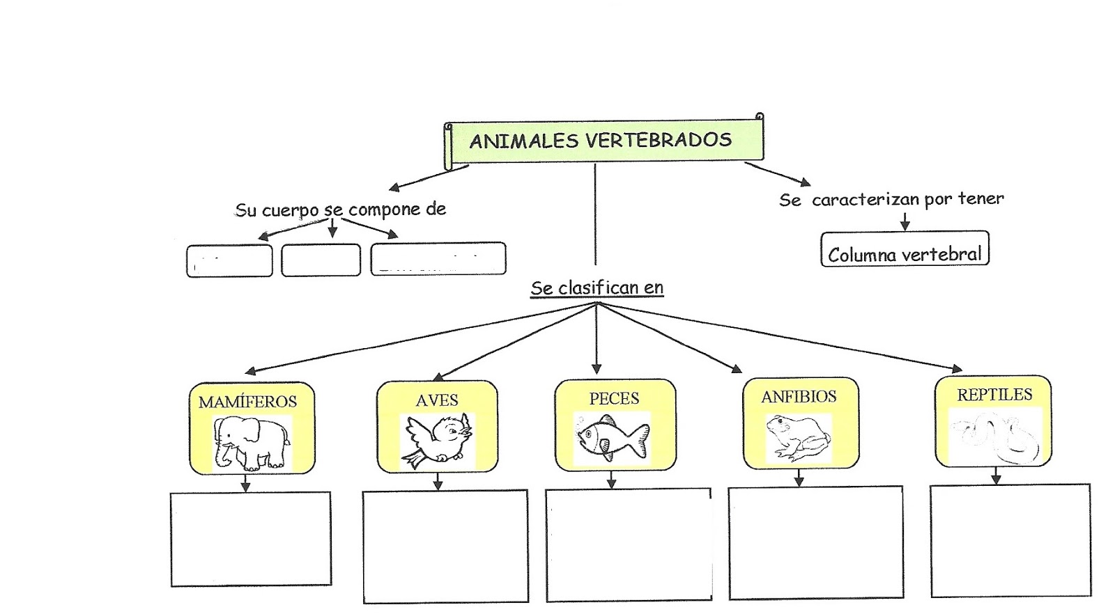 Sopa De Letras De Animales Vertebrados Para Niños - Noticias Niños