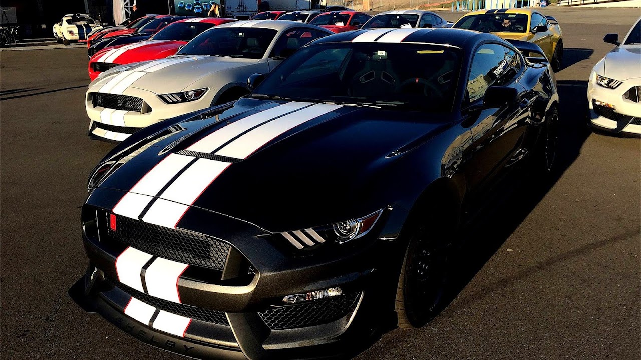 How Much Does A Brand New Mustang Cost Brand Choices