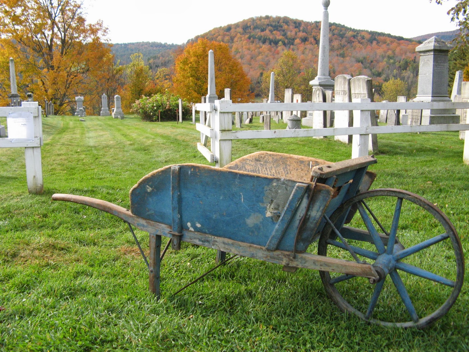 Animal Instinct FALL TOUR Vermont