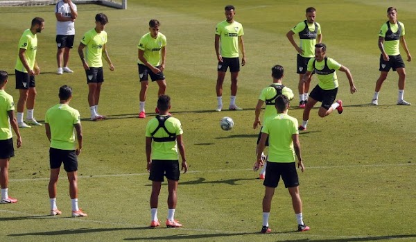Málaga, Pellicer recupera a los jugadores tocados