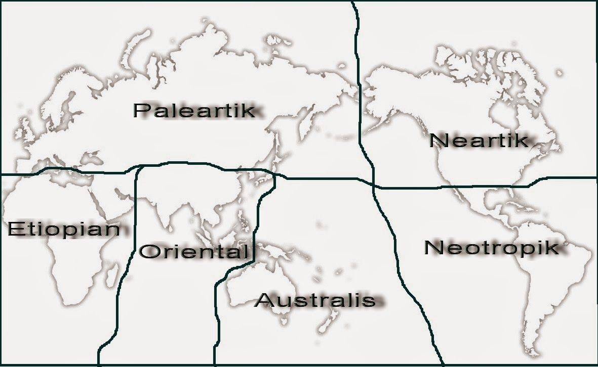 fauna asiatis - wood scribd indo