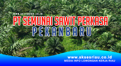 PT Semunai Sawit Perkasa Pekanbaru