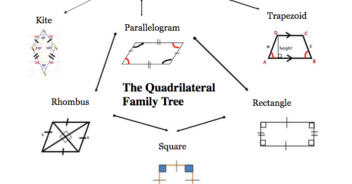 Quadrilateral Diagram Tree 75719 Movieweb