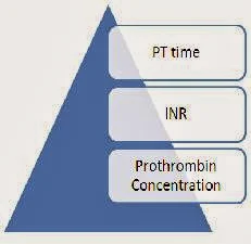 PT INR reults explained