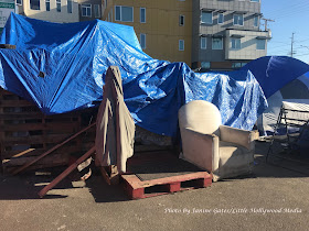 olympia homelessness