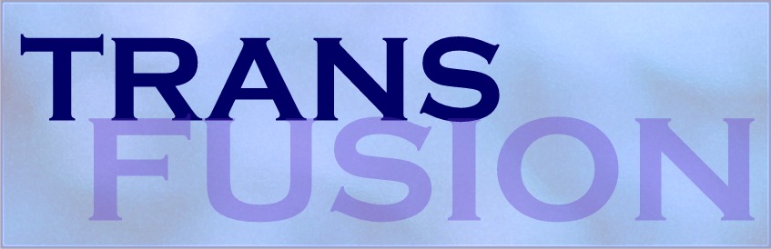 TransFusion
