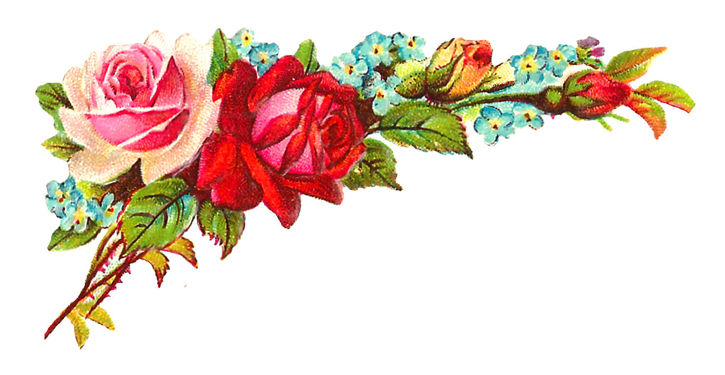 antique-images-printable-crafting-corner-designs-sea-shells-roses