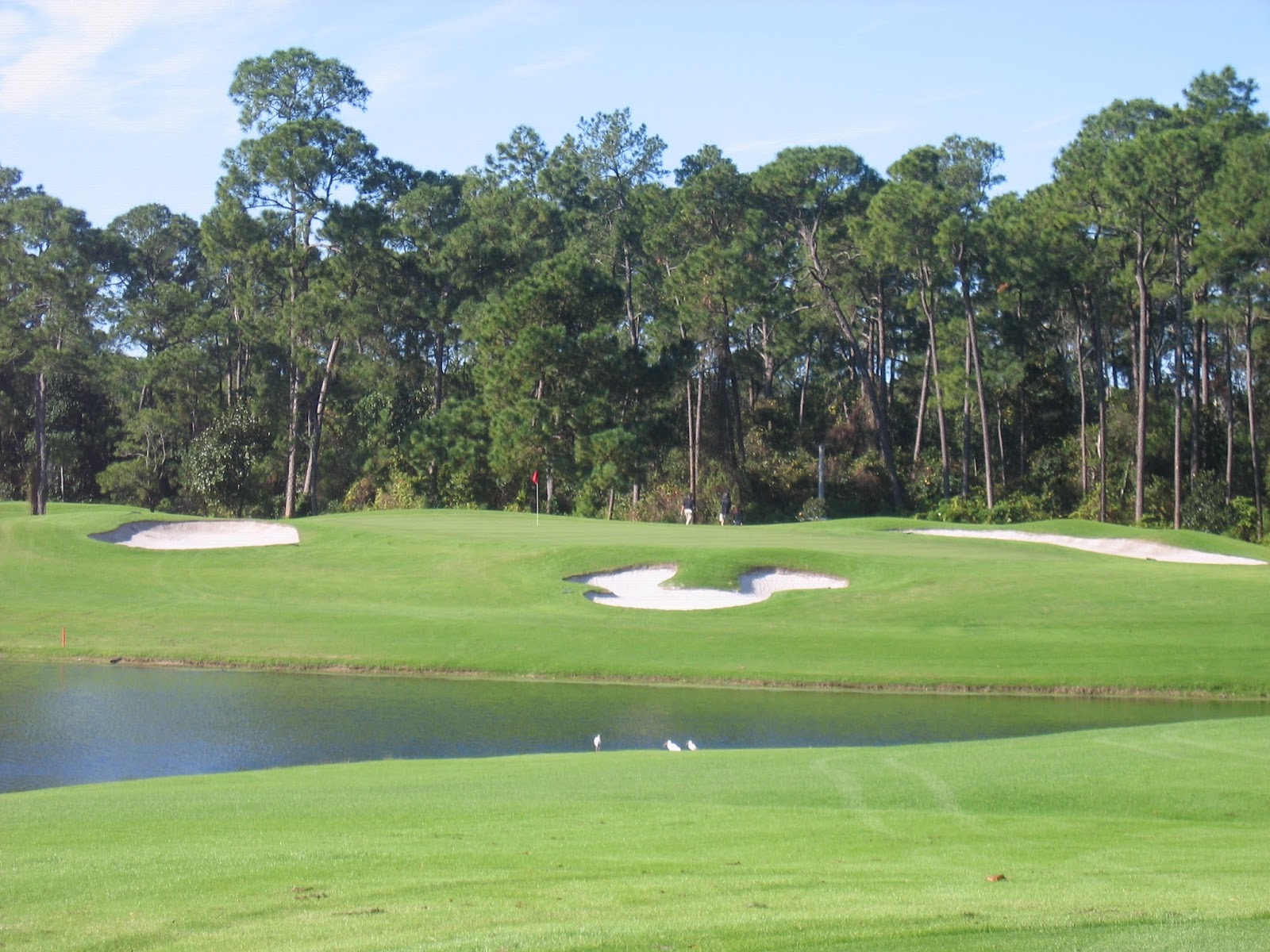 the-best-things-to-do-at-disney-world-besides-theme-parks-the-world