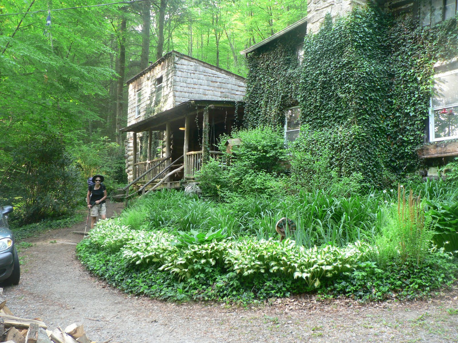 AT in Retro 365 days wiser Day 43 13th May Laurel Fork Campsite