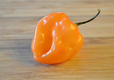 Habanero Chile Pepper for Smoked Pork Shoulder Tacos with Ancho-Bourbon Sauce and Fresh Peach-Habanero Salsa