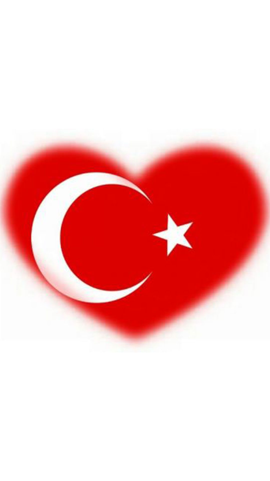 Kalpli turk bayragi 4