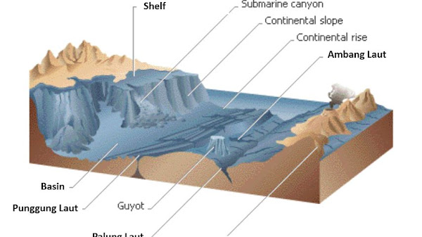 Gambar Relief Dasar Laut yang Menakjubkan dan Unik