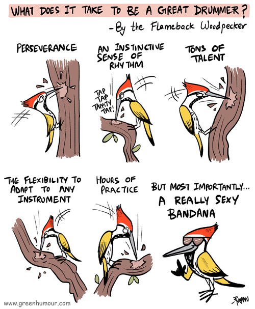 Green Humour What does it take to be a great drummer