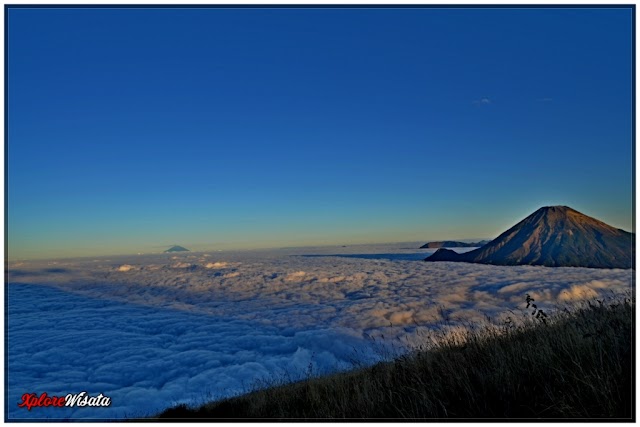 Porter Lawu, Rekomendasi 3 Gunung untuk Pendaki Pemula 