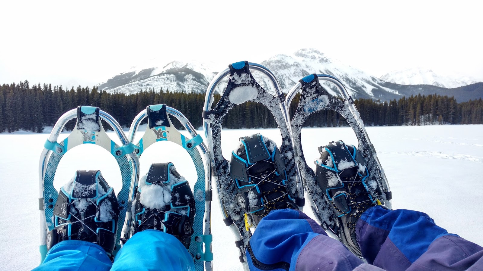 Where to Snowshoe Near Calgary Play Outside Guide