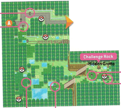 Pokemon Black 2 & White 2 Challenge Rock 