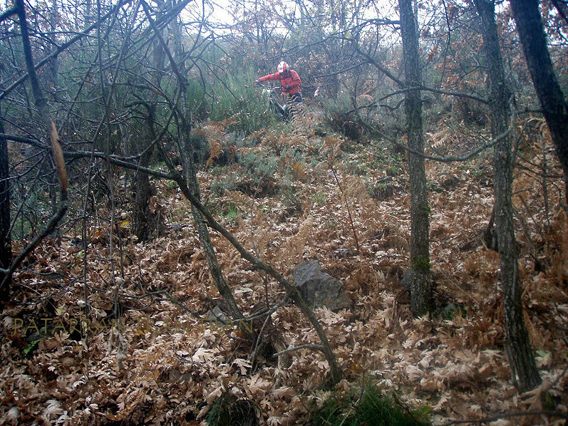 Cota 315r: Trial Excursión con nevada incluida