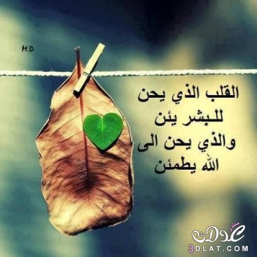حكم وصور معبرة