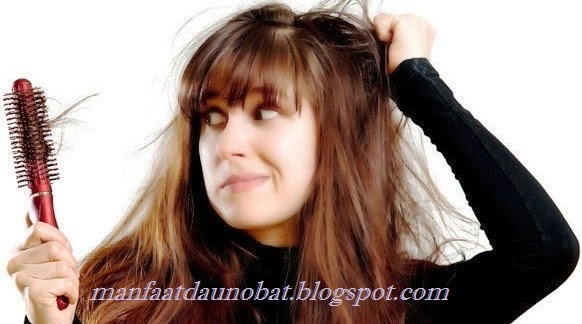 Cara Mengatasi Dan Mengobati Rambut Rontok | Cara Pengobatan Tradisional