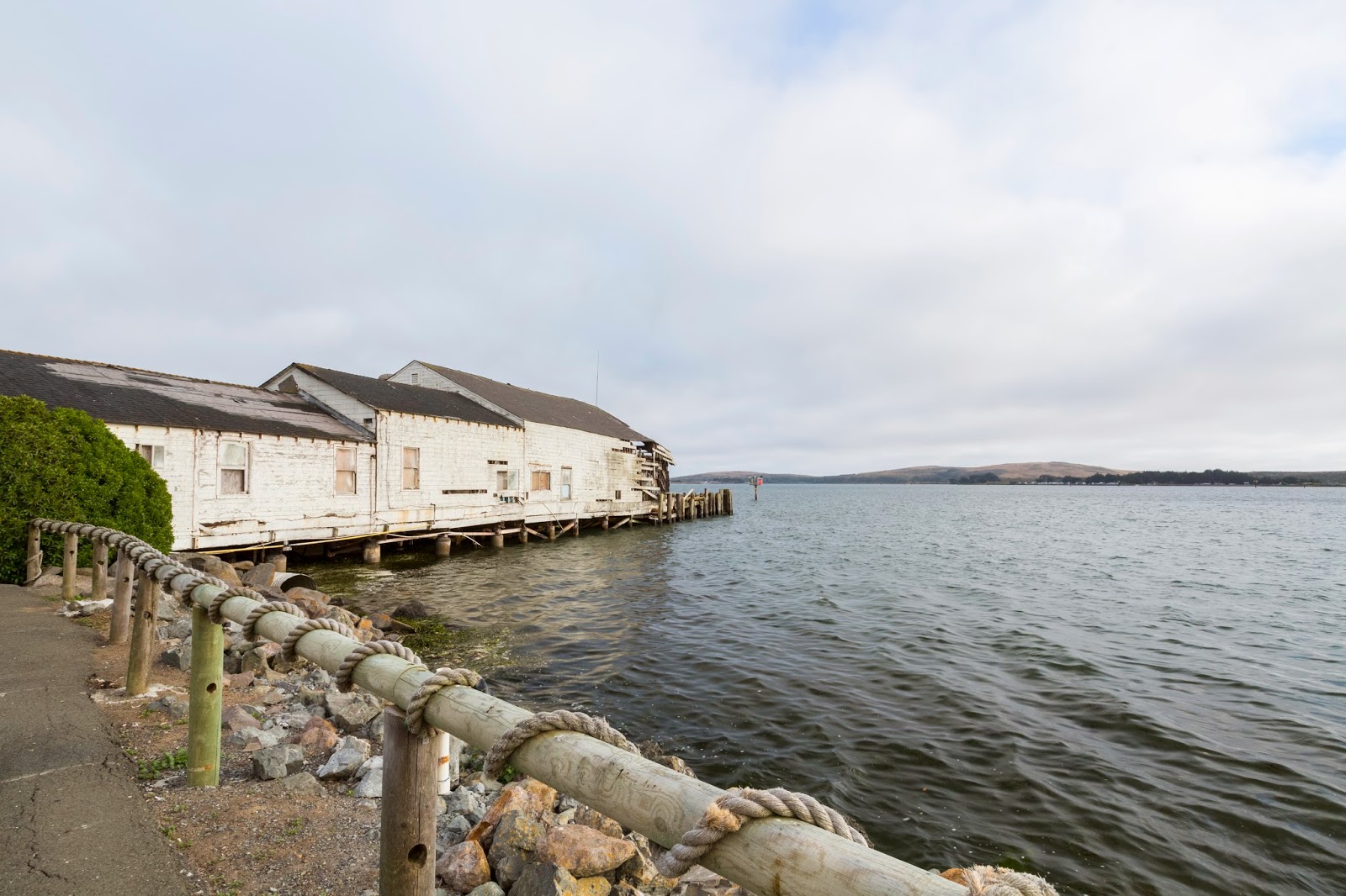 Naturetastic Blog Tomales, Bodega Bay, Duncans Mills, Jenner California's Coast