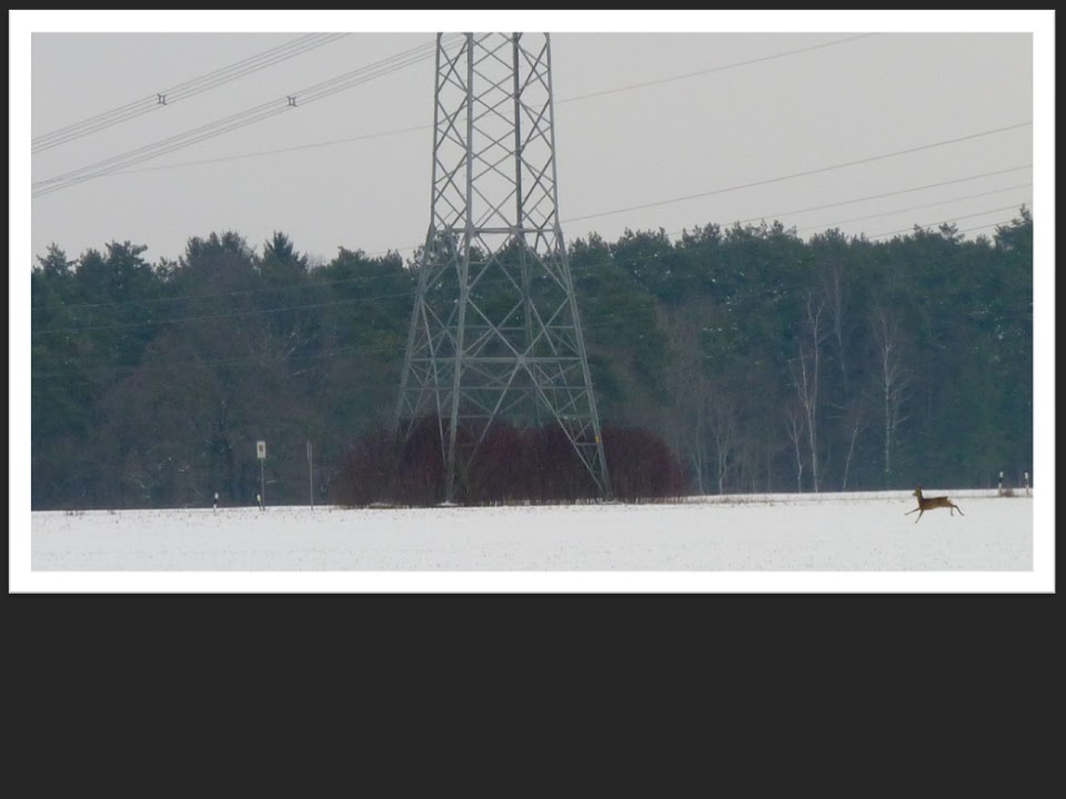 Wandern durch Franken Fotos Herzogenaurach/Hauptendorf/Burgstall