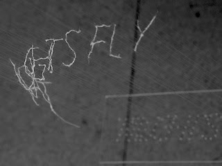 Thoughts fly | wool and nylon thread