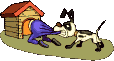 Download Gambar Animasi Anjing Tikus Kelinci Dan katak