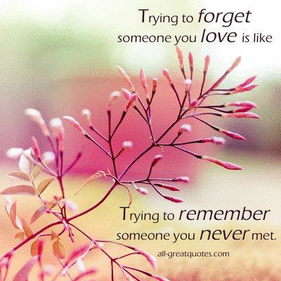 Trying to forget someone you love is like trying to remember someone you never met