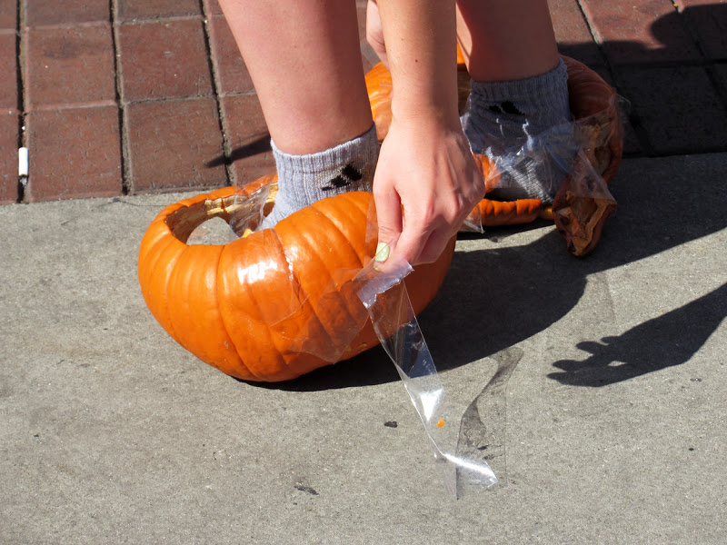 forms traced by light October 2012