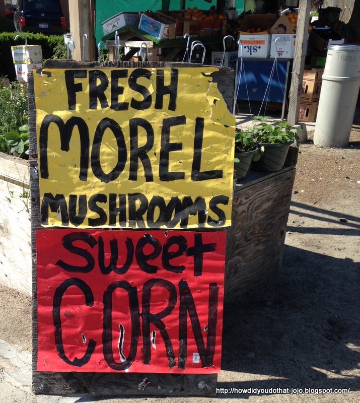 How'd You Do That?: THE MAGNIFICENT MOREL MUSHROOM!