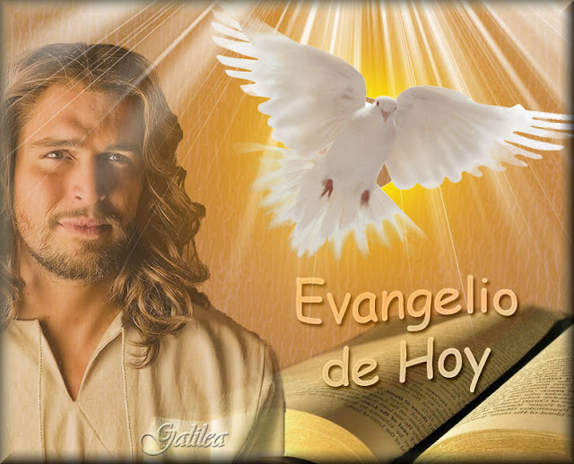 Corazón de Jesús en Vos Confío Santo Evangelio 8 de Julio 2016