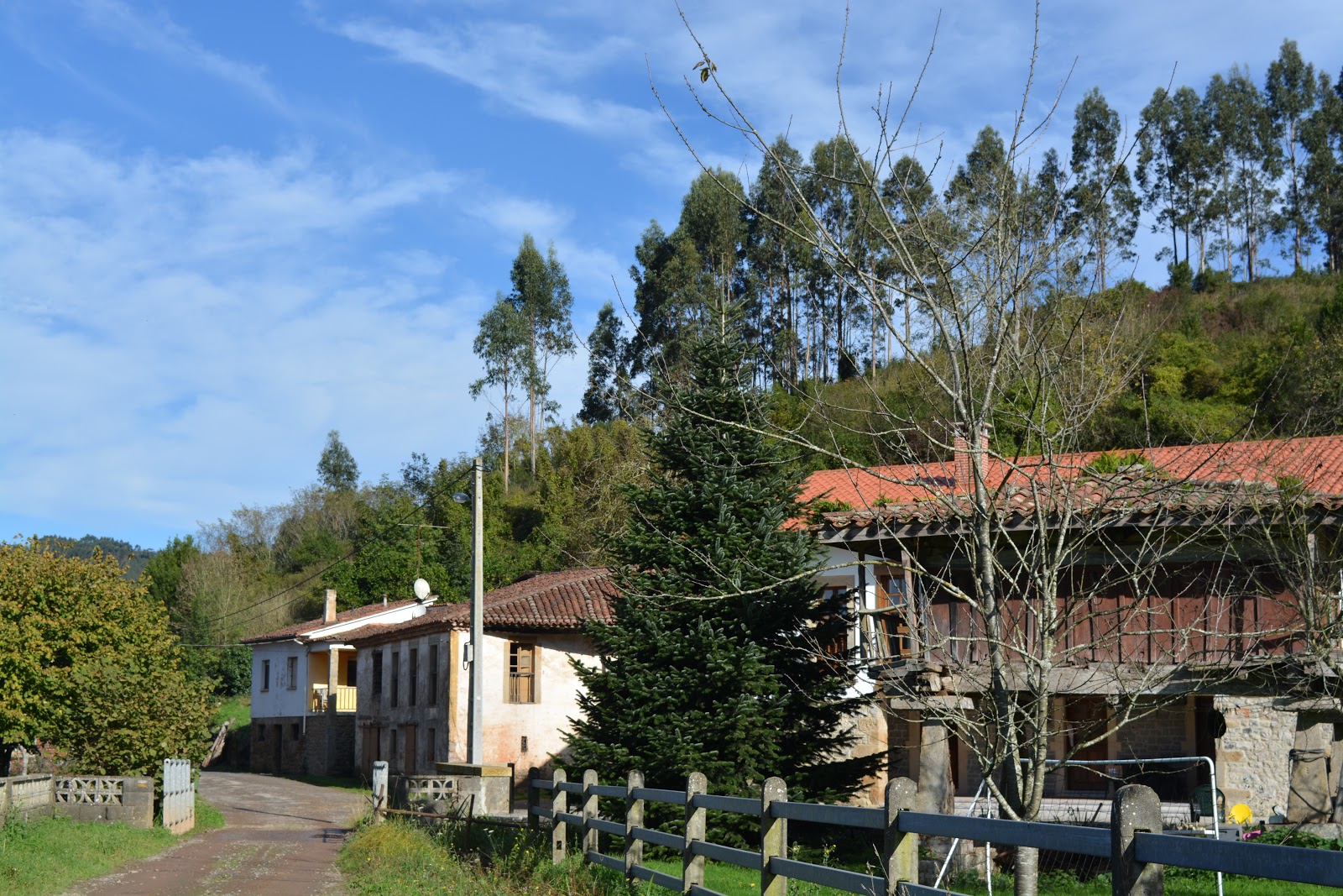 Pueblastur PRAS 136. Ruta La Riera. Colunga.