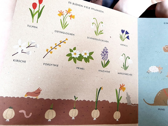 Mit Vielen Neuen Kinderbuchern Durchs Jahr Apfelbackchen