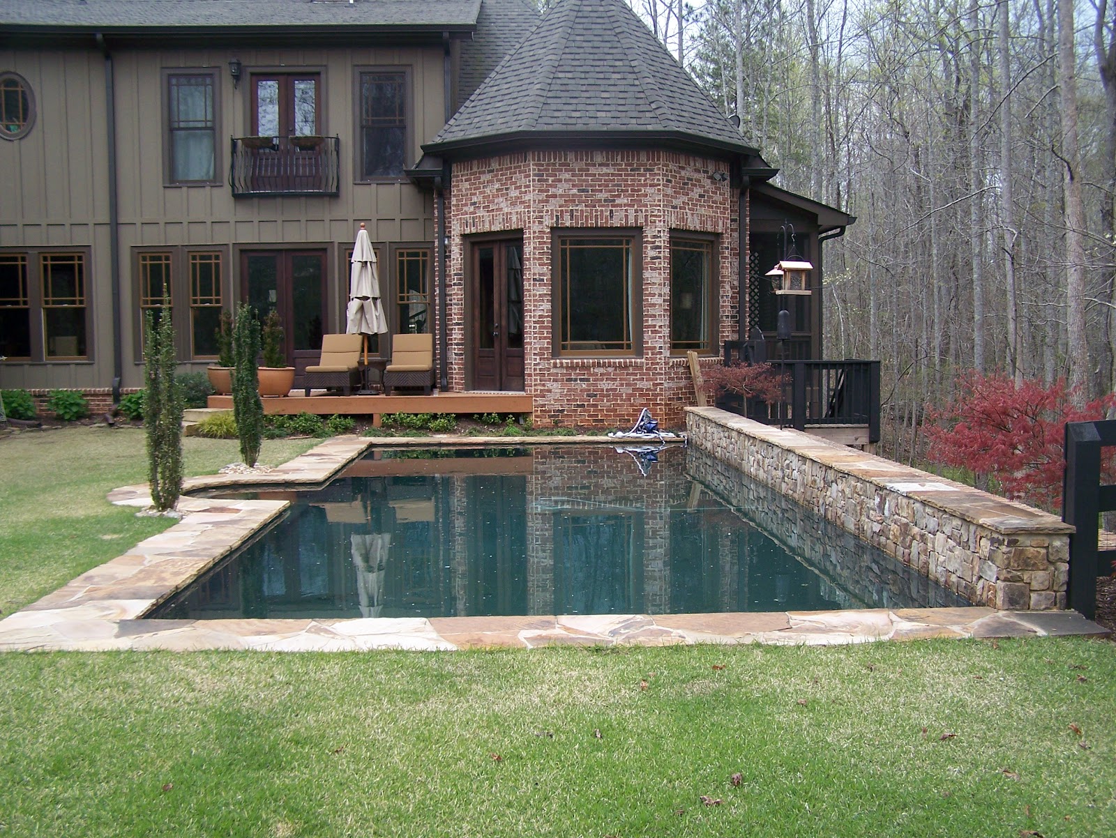 Backyard Oasis Pools Straight Line Pool Cumming