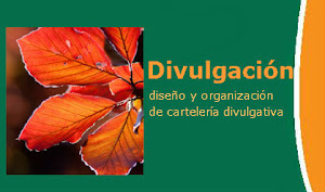 Divulgación