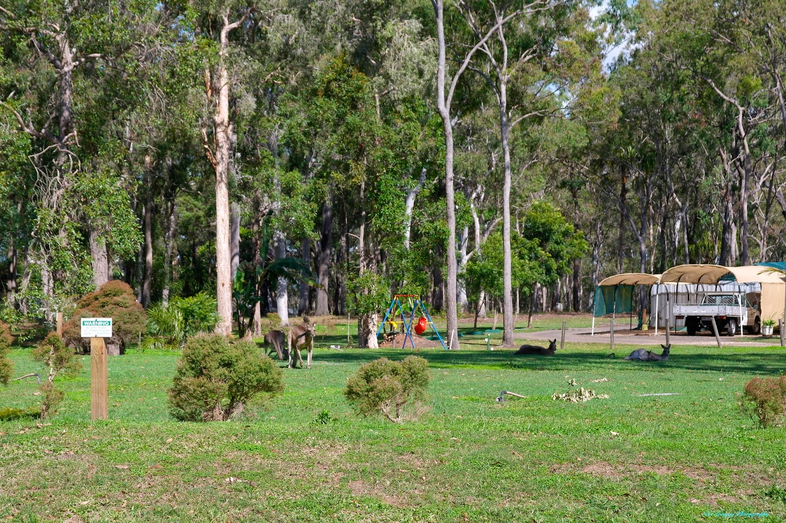 Can Go Around Australia Maaroom, QLD.