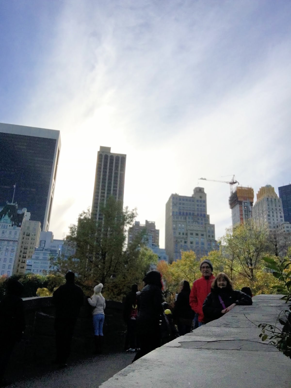 Central Park Gapstow Bridge