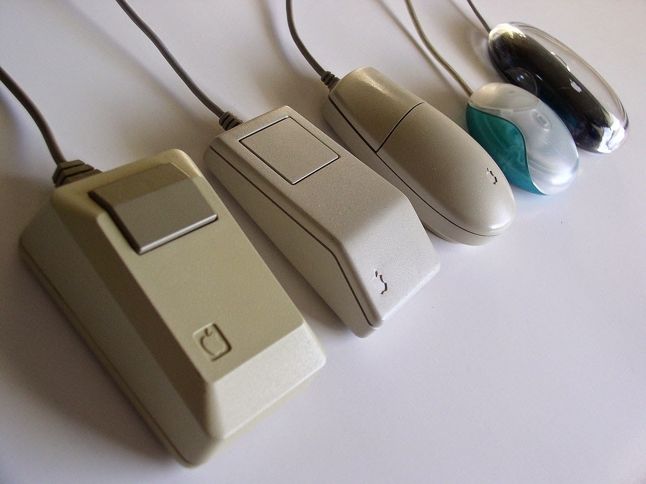 Tk 1emC: Evolucion del Mouse