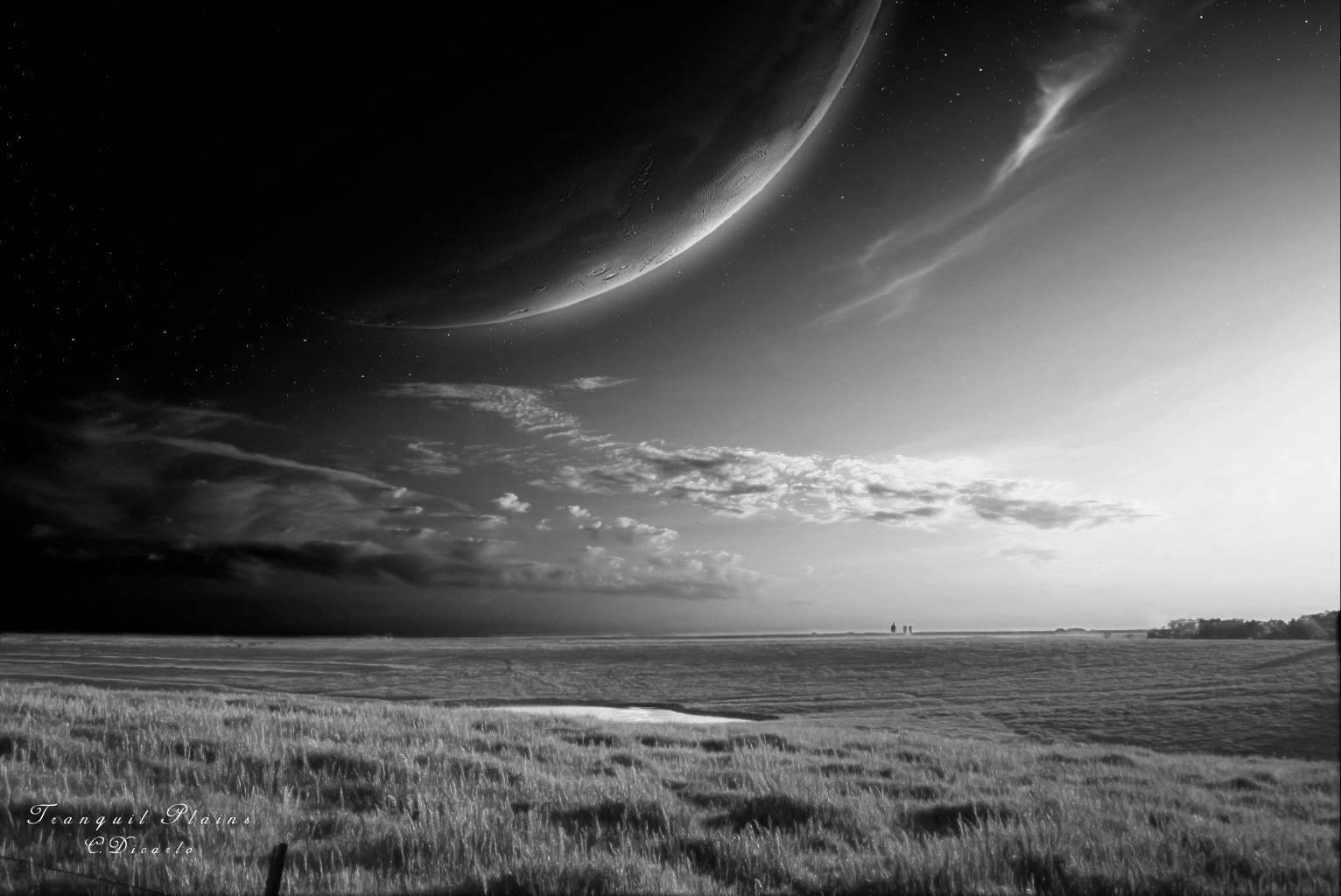 ... White Wallpapers: HD Black and White Scenic Landscape Wallpapers Pack