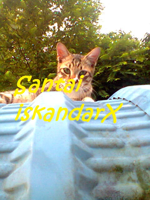 iskandarx.blogspot.com, Si Faizal merajuk ke hapa sampai ketas bumbung, santai, Faizal, duduk, atas, bumbung, garaj