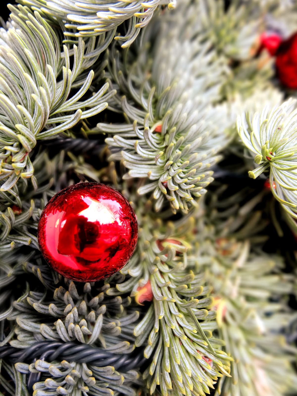 L Arbre De Noel Youtube The estetic of senses!: « Pour préparer un arbre de Noël, il faut trois