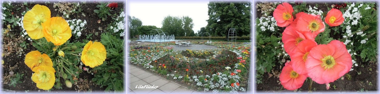 Lila Flieder Garten Ein Sonntagsausflug Zum Egapark Erfurt