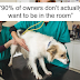 All Pet Owners Must Read This Confession That Reveals What Pets Do Right Before Death